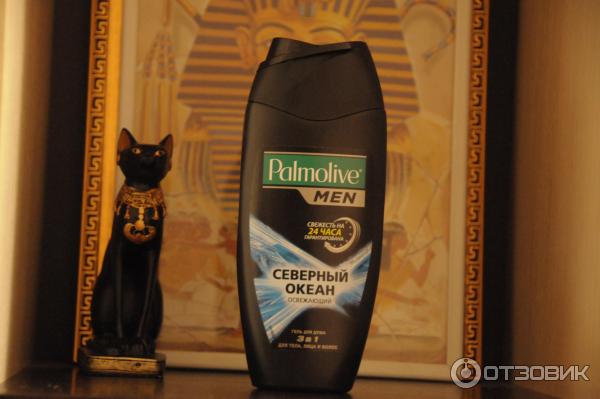 Гель для душа Palmolive Men 3 в 1 Северный океан освежающий фото