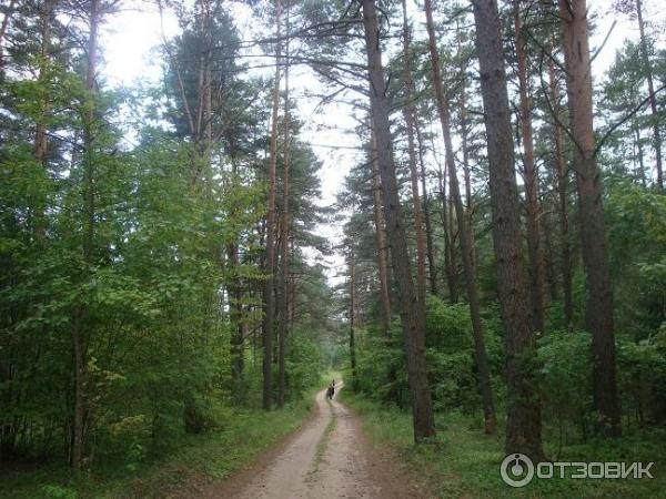 Кемпинг на озере Великие Швакшты (Белоруссия, Витебская область) фото