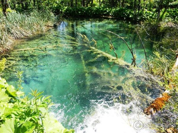 Экскурсия на Плитвицкие озера (Хорватия) фото