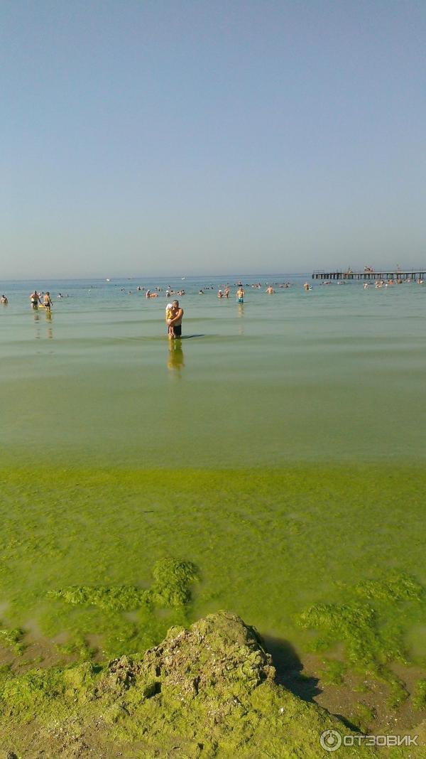 Море цветет в августе. Джемете море цветет. Море Анапа Джемете. Анапа Джемете море сейчас. Джемете море цветет август.