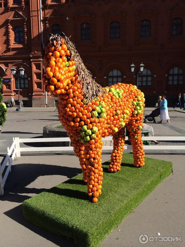 Фестиваль Московское варенье 2015 (Россия, Москва) фото