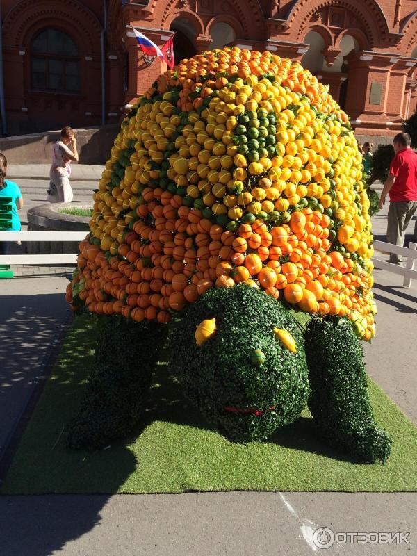 Фестиваль Московское варенье 2015 (Россия, Москва) фото