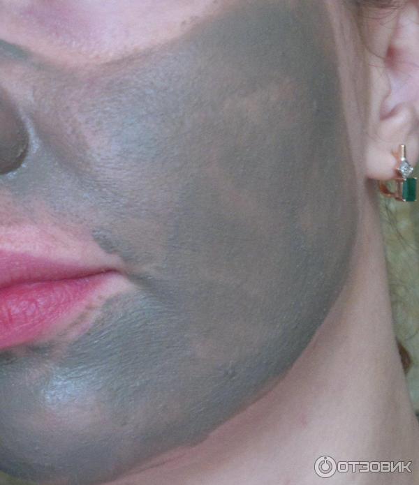 Очищающая грязевая маска для лица Puring Mud Mask Mineral фото