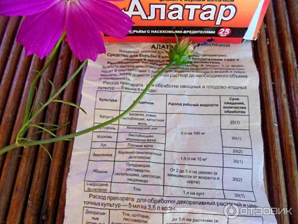 Алатар средство от вредителей инструкция. Алатар инструкция по применению для капусты 5. Алатар (25 мл). Алатар препарат от вредителей инструкция. Алатар средство от вредителей инструкция.