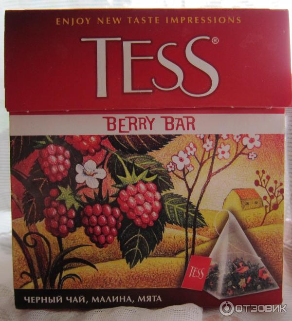 Чай Tess Berry Bar в пирамидках Малина и мята фото