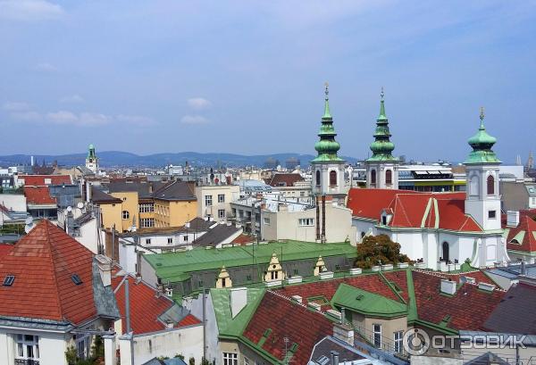 Океанариум Дом моря Haus des Meeres (Австрия, Вена) фото