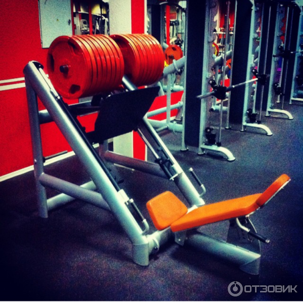 Fan gym ленинский просп 2б химки фото