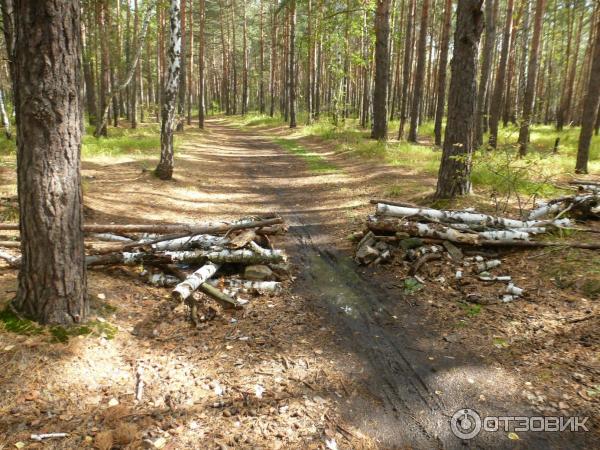 Челябинская детская железная дорога фото