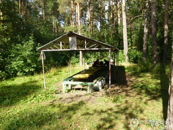 Челябинская детская железная дорога фото