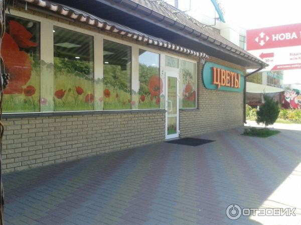 Аленький цветочек просп победы 4 фото Отзыв о Магазин цветов "Аленький цветочек" (Украина, Днепропетровск) Свежие цвет