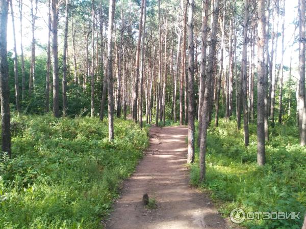 Парк прибрежный набережные челны фото Отзыв о Парк культуры и отдыха в Набережных Челнах (Россия, Набережные Челны) от