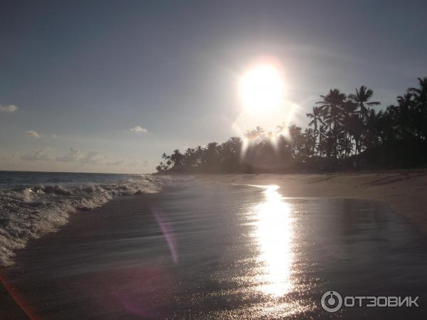 Отель Barcelo Punta Cana 4* (Доминикана, Пунта-Кана) фото