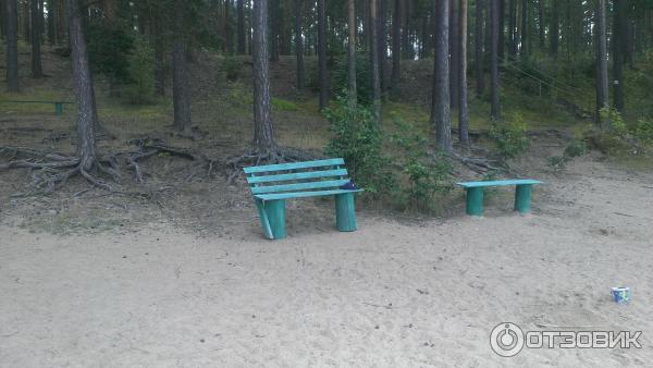 скамейки на пляже