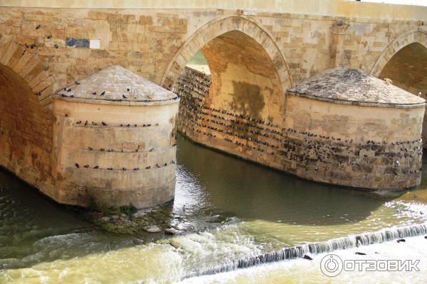 Римский мост (Puente romano de Cordoba) Кордова Испания отзыв фото