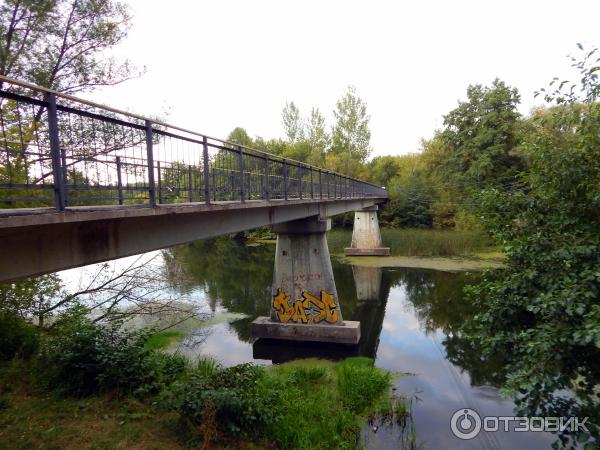 Курск - фотографии и достопримечательности города.