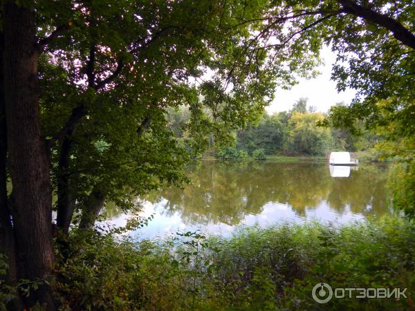 Отзыв о Парк "Боева дача" (Россия, Курск) Зеленые легкие нашего города