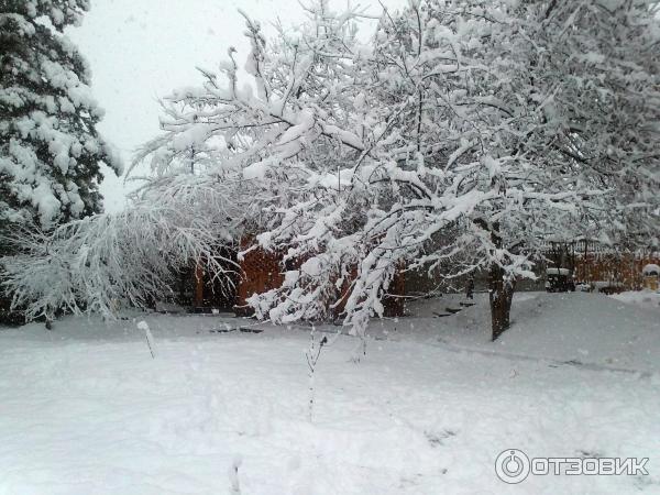 Кемпинг Уют (Россия, пос. Каменномостский) фото