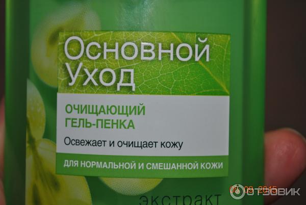 Гель для умывания Garnier Основной уход очищающий фото