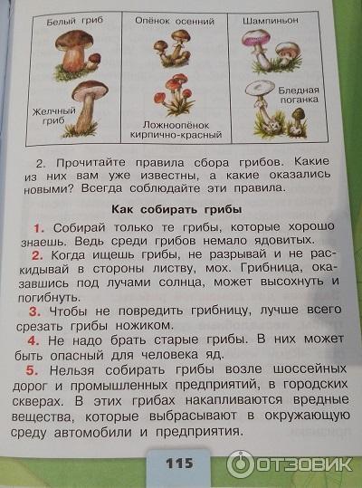 Учебник окружающий 3 класс плешаков. Учебник по окружающему миру. Страницы учебника окружающий мир. Окружающий мир 3 кл учебник.