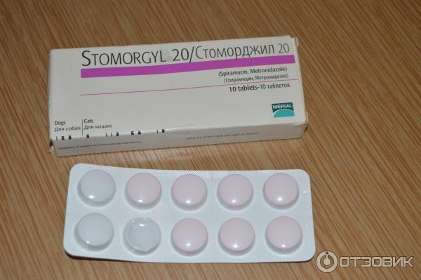 Стоморджил 2 Мг Купить