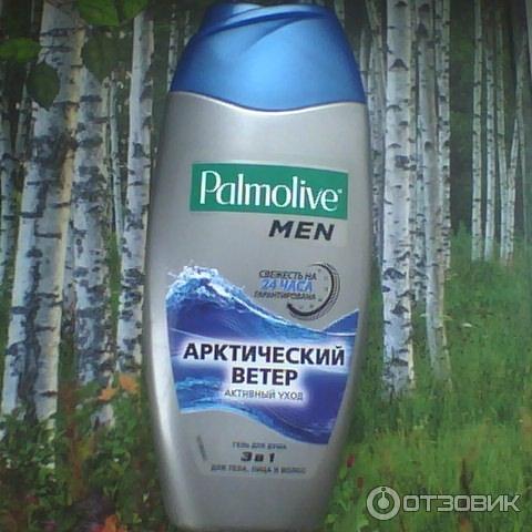 Гель для душа мужской Palmolive Арктический ветер фото