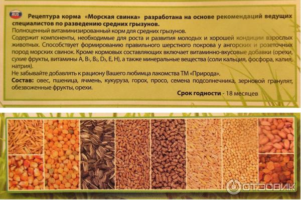 Что можно давать морским свинкам таблица Отзыв о Корм для морских свинок Природа Заявленный состав корма не соответствует