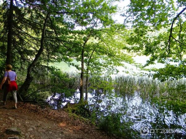 Национальный парк Плитвицкие озера (Хорватия, Лицко-Сеньская жупания) фото