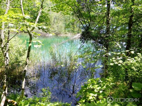 Национальный парк Плитвицкие озера (Хорватия, Лицко-Сеньская жупания) фото