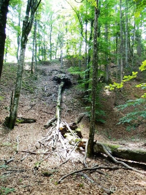 Национальный парк Плитвицкие озера (Хорватия, Лицко-Сеньская жупания) фото