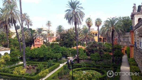 Севильский Алькасар (Reales Alcazares de Sevilla) (Испания, Севилья) фото