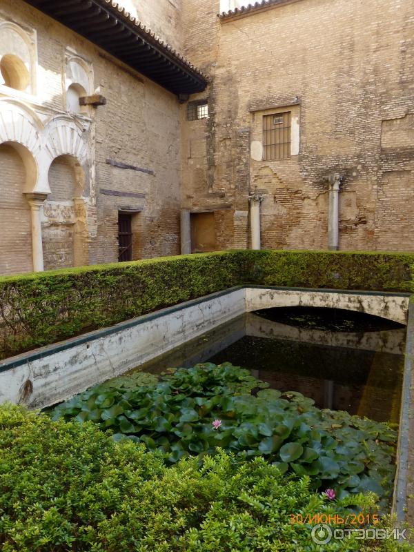 Севильский Алькасар (Reales Alcazares de Sevilla) (Испания, Севилья) фото