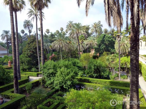 Севильский Алькасар (Reales Alcazares de Sevilla) (Испания, Севилья) фото