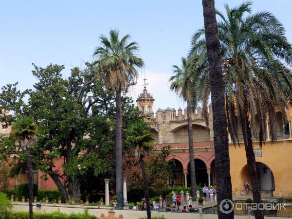 Севильский Алькасар (Reales Alcazares de Sevilla) (Испания, Севилья) фото