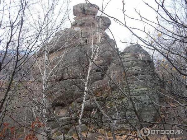 Канатная дорога в Белокурихе (Россия, Алтайский край) фото