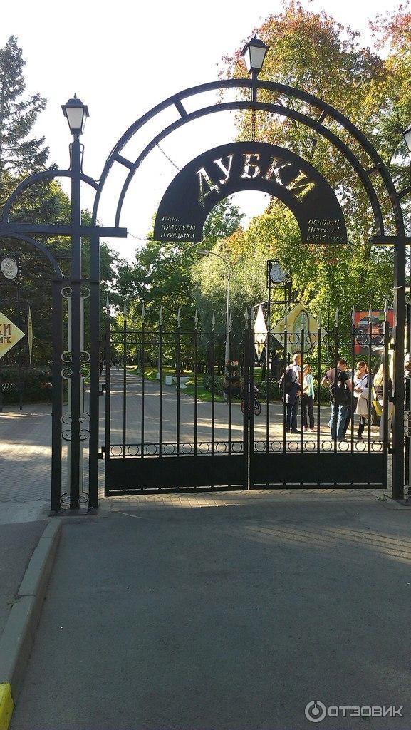 Парк Дубки В Сестрорецке Фото