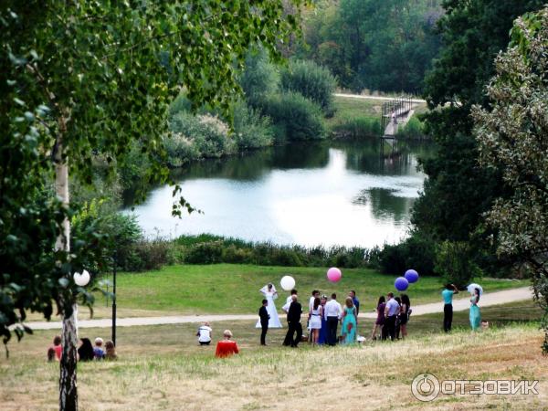 Дуб Богдана Хмельницкого в пос. Дубовое (Россия, Белгород) фото