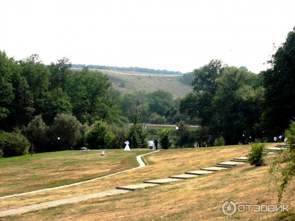 Дуб Богдана Хмельницкого в пос. Дубовое (Россия, Белгород) фото