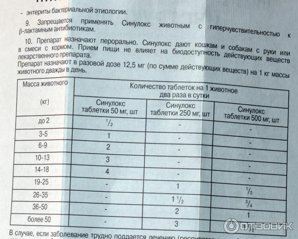 Синулокс для кошек инструкция
