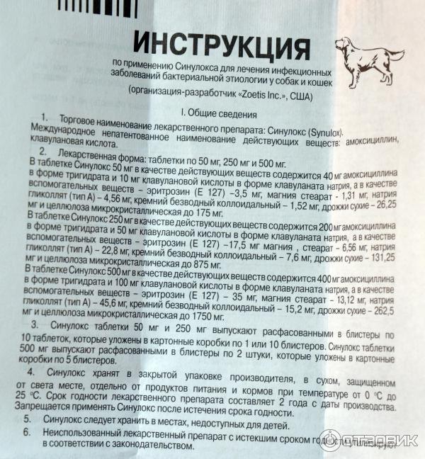Синулокс для кошек инструкция