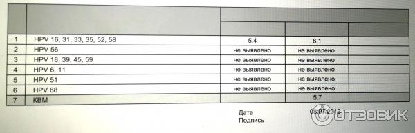 Впч 39 генотип. HPV 16 31 33 35 52 58 норма у женщин. HPV 16 31 33 35 52 58 расшифровка.