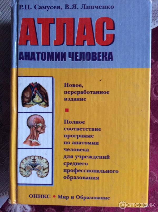 Анатомия липченко самусев. Самусев атлас анатомии. Самусев Липченко атлас. Анатомический атлас Самусев Липченко. Самусев Липченко атлас анатомии.