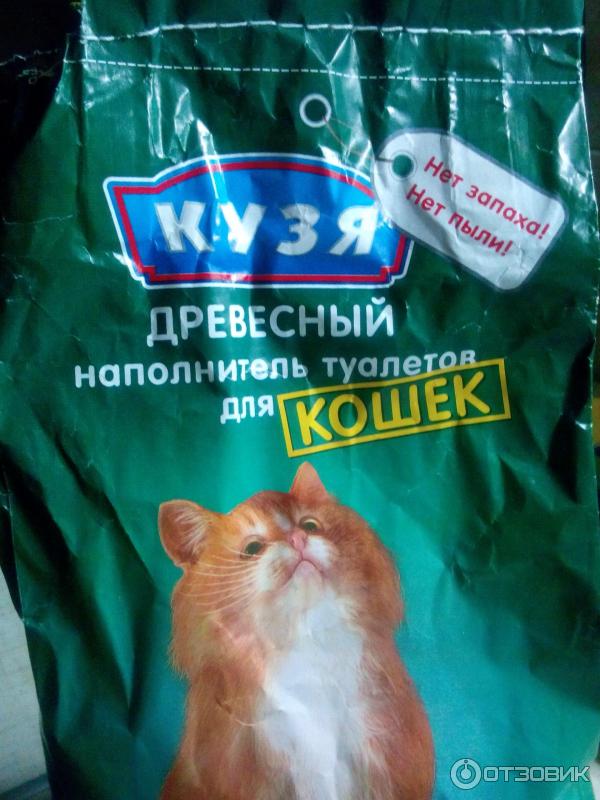 Котенок кушает наполнитель для туалета что делать