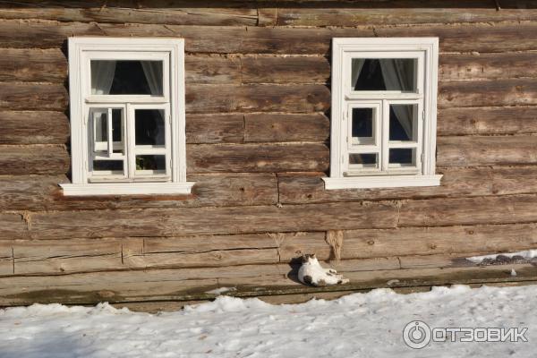 Ясная Поляна (Россия, Тульская область) фото