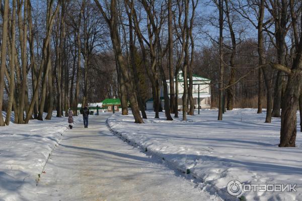 Ясная Поляна (Россия, Тульская область) фото