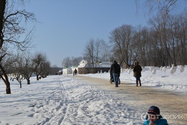 Ясная Поляна (Россия, Тульская область) фото