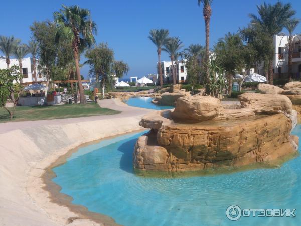 Отель Shores Amphoras 5* (Египет, Шарм-эль-Шейх) фото