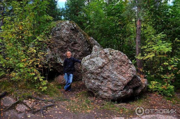 Государственный историко-архитектурный и природный музей-заповедник Парк Монрепо (Россия, Выборг) фото