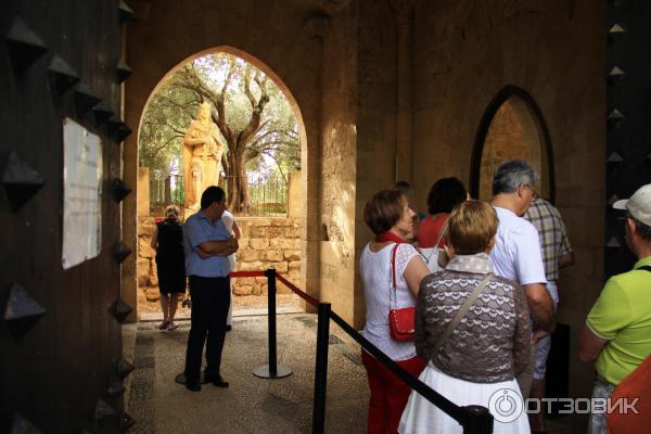 Дворец Алькасар Alcazar de los Reyes Cristianos Кордова Испания отзыв фото