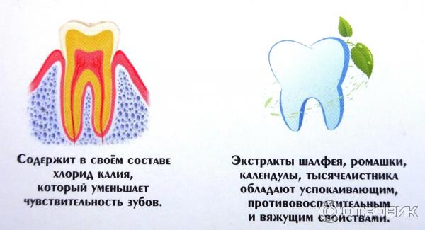 Зубная паста Doktor proff для чувствительных зубов фото