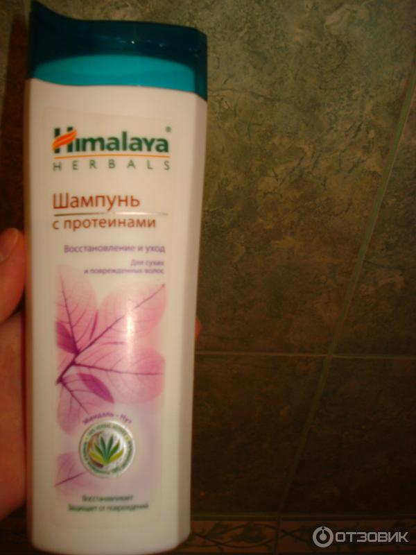 Шампунь с протеинами для сухих и поврежденных волос Himalaya Herbal Восстановление и уход фото